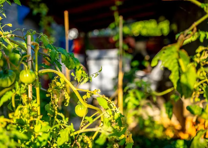 Tatil Evi Casa Bianca Malinska